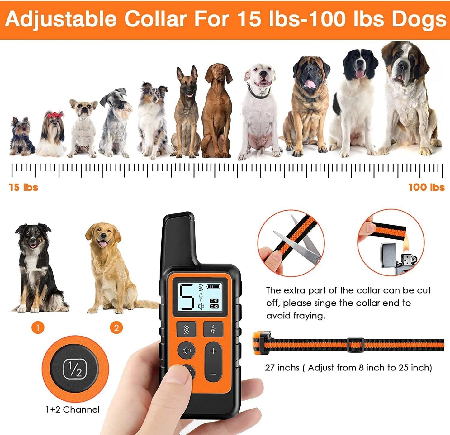 Waterproof Dog Training Collar with Remote — Train Confidently in Any Weather