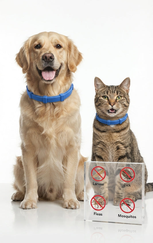 When Is the Best Time to Start Flea & Tick Protection?
