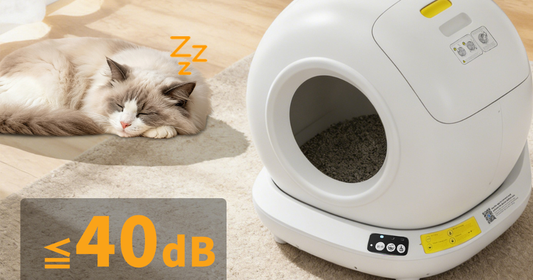 Self-Cleaning Cat Litter Box: The Smart Fix for Odor, Mess, and Daily Scooping