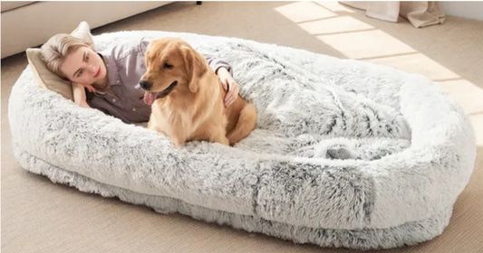 Human-Sized Dog Bed: The Cozy Fix for Pets Who Won't Stop Stealing Your Spot