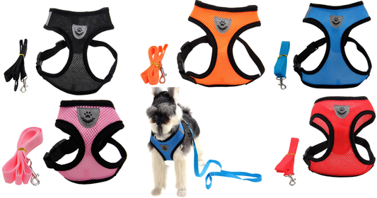 Breathable Mesh Dog Harness &amp; Leash Set: The Comfortable Fix for Walk-Time Struggles