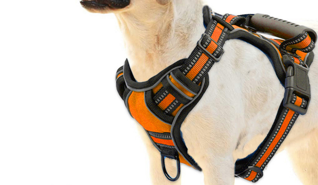 The Ultimate No-Pull Dog Harness & Leash Set: Comfort, Control, and Safety for Every Walk