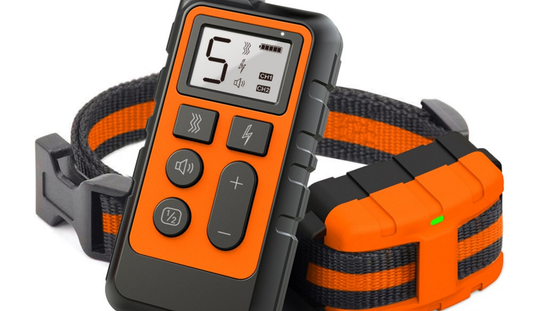 Remote Dog Training Collar Guide: How to Choose the Right E-Collar for Reliable, Humane Training