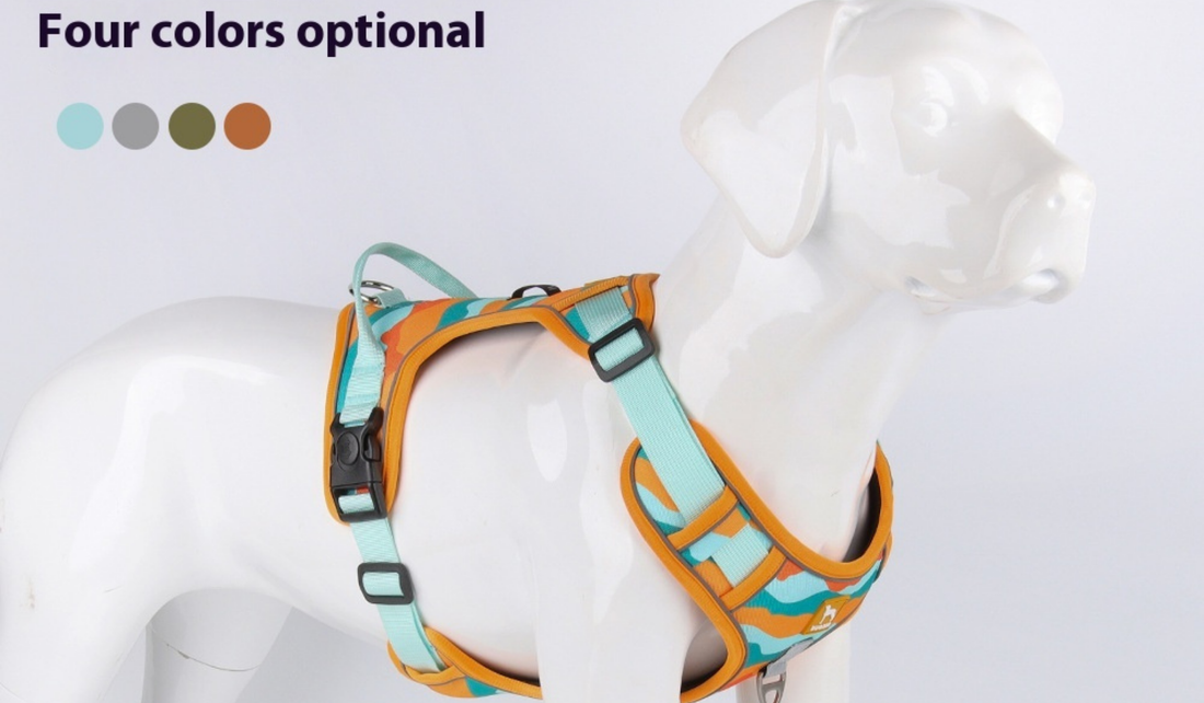 Premium No-Pull Dog Harness with Soft Handle: The Ultimate Guide to Comfort, Control & Safety