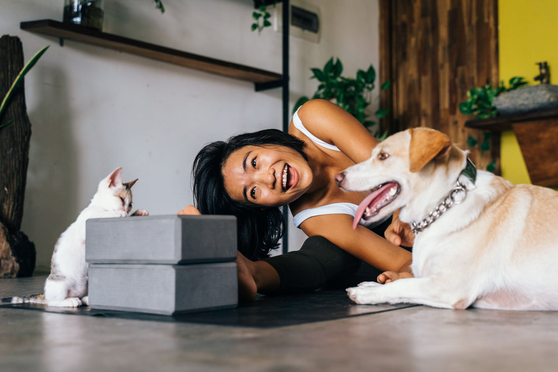 Cat People vs. Dog People: What Your Pet Preference Says About You