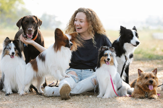 What Your Dog's Behaviour Is Really Telling You