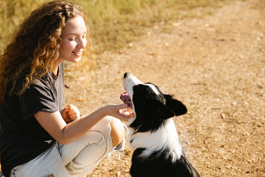 7 Life Lessons Your Pet Teaches You Without Saying a Word