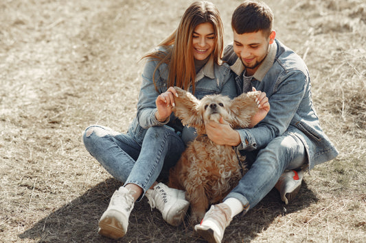 How Having a Pet Can Change Your Life (And Why You'll Never Regret It)