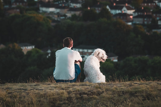 Can a Pet Really Help With Depression? Here's What's Actually Going On