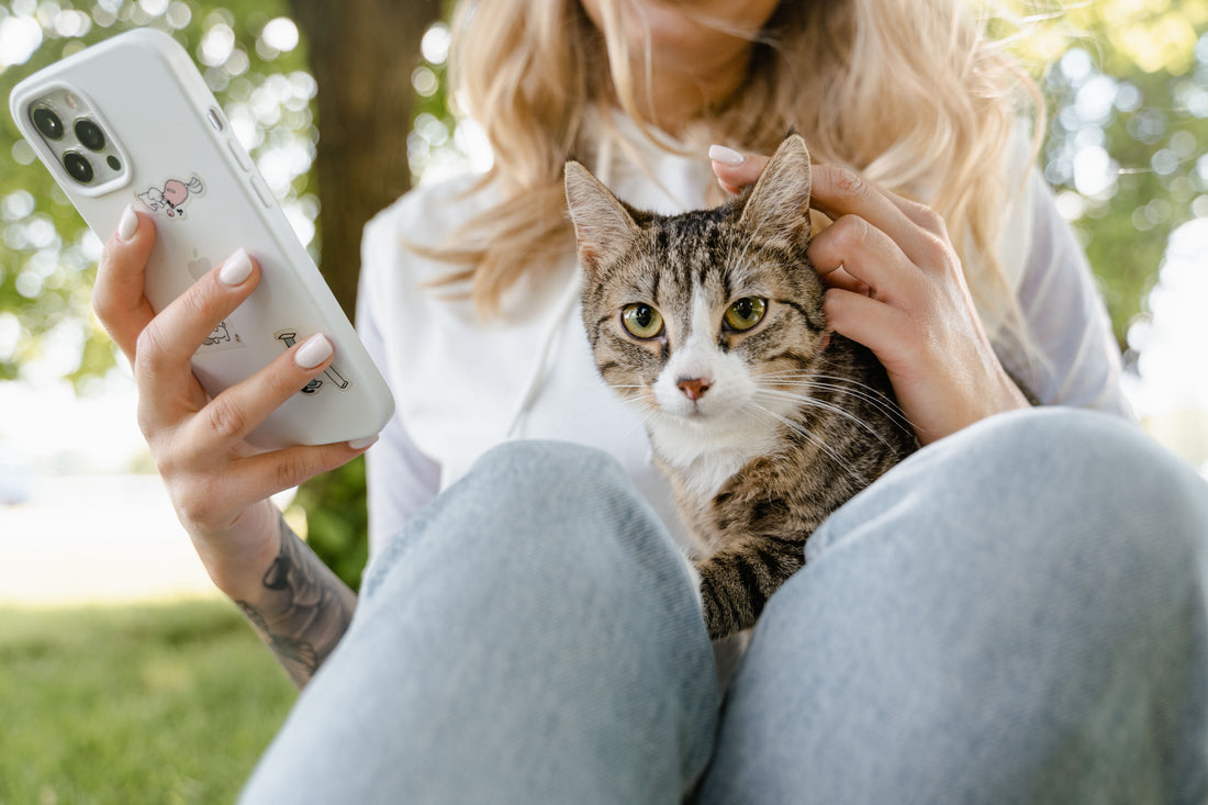 Relive Your Life Through Your Pet's Eyes (It's More Fun Than It Sounds)