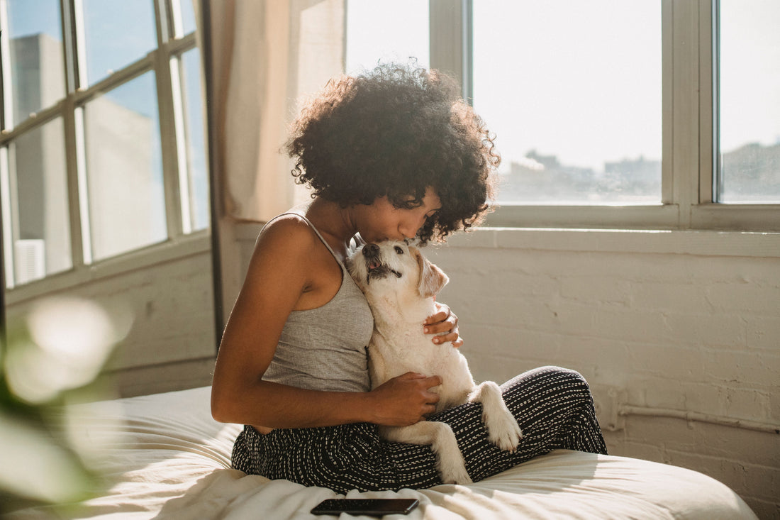 The Pet Owner's Morning Routine: Chaos, Cuddles, and Somehow It Works
