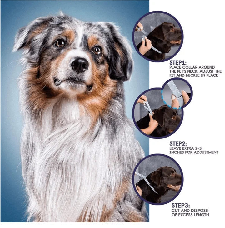 Pawkoi™ Flea & Tick Collar — 8 Month Lasting Protection Pawkoi Pet Pawkoi  Pet Pawkoi™ Flea & Tick Collar — 8 Month Lasting Protection