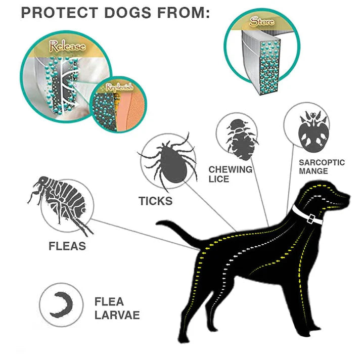 Pawkoi™ Flea & Tick Collar — 8 Month Lasting Protection Pawkoi Pet Pawkoi  Pet Pawkoi™ Flea & Tick Collar — 8 Month Lasting Protection