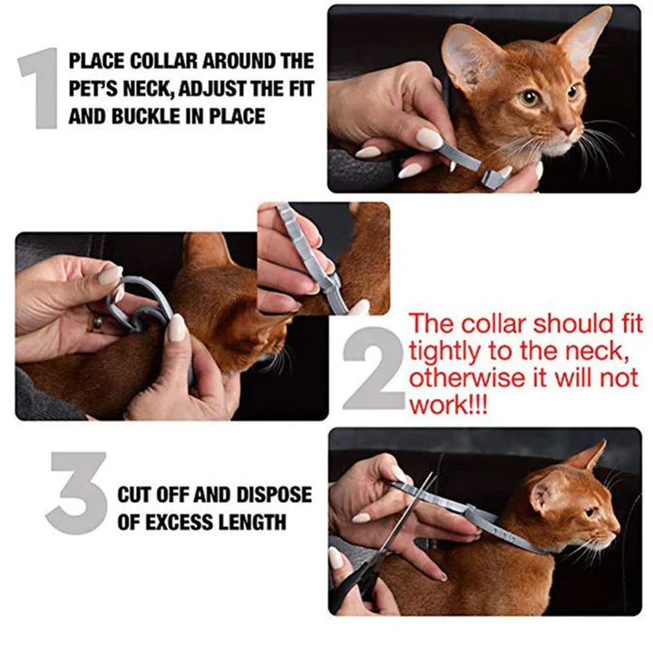 Pawkoi™ Flea & Tick Collar — 8 Month Lasting Protection Pawkoi Pet Pawkoi  Pet Pawkoi™ Flea & Tick Collar — 8 Month Lasting Protection