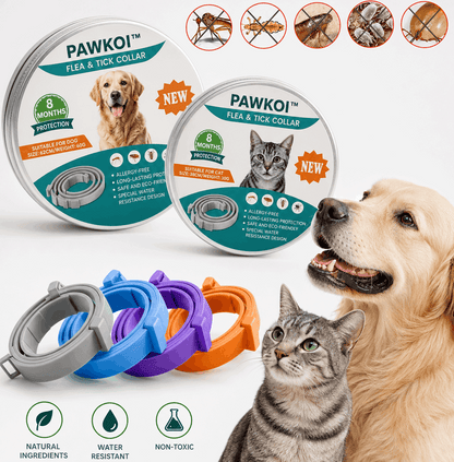 Pawkoi™ Flea & Tick Collar — 8 Month Lasting Protection Pawkoi Pet Pawkoi  Pet Pawkoi™ Flea & Tick Collar — 8 Month Lasting Protection