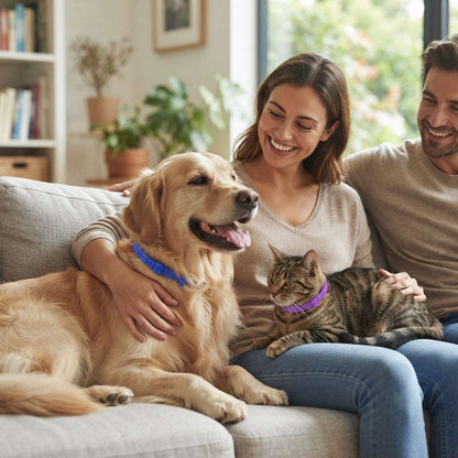 Pawkoi™ Flea & Tick Collar — 8 Month Lasting Protection Pawkoi Pet Pawkoi  Pet Pawkoi™ Flea & Tick Collar — 8 Month Lasting Protection