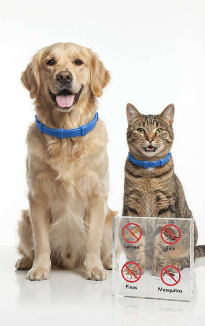 Pawkoi™ Flea & Tick Collar — 8 Month Lasting Protection Pawkoi Pet Pawkoi  Pet Pawkoi™ Flea & Tick Collar — 8 Month Lasting Protection