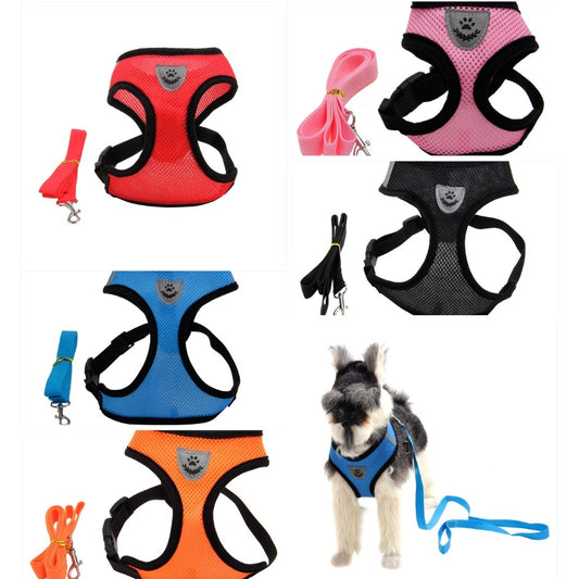 Breathable mesh dog harness and leash set available in multiple vibrant colors