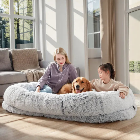 Giant human dog bed 5XL size dimensions infographic with a person and golden retriever sleeping