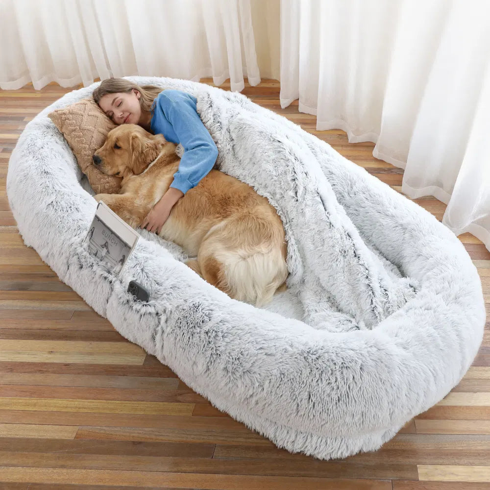 Multi functional adult size pet bed lounger specs layout for living room relaxation