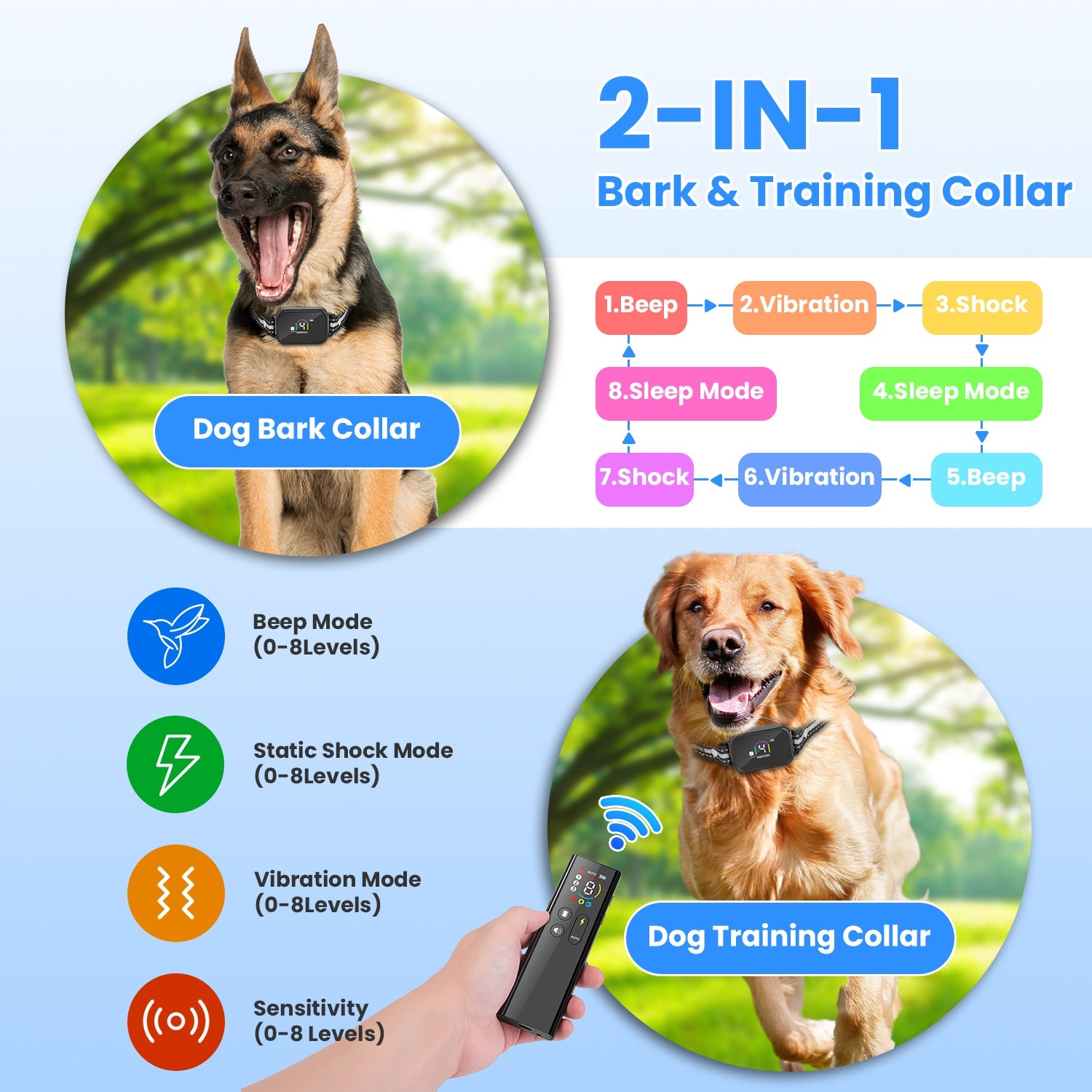 Golden Retriever puppy wearing a smart bark collar featuring an adjustable reflective strap