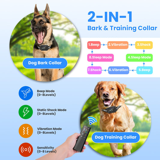 Golden Retriever puppy wearing a smart bark collar featuring an adjustable reflective strap