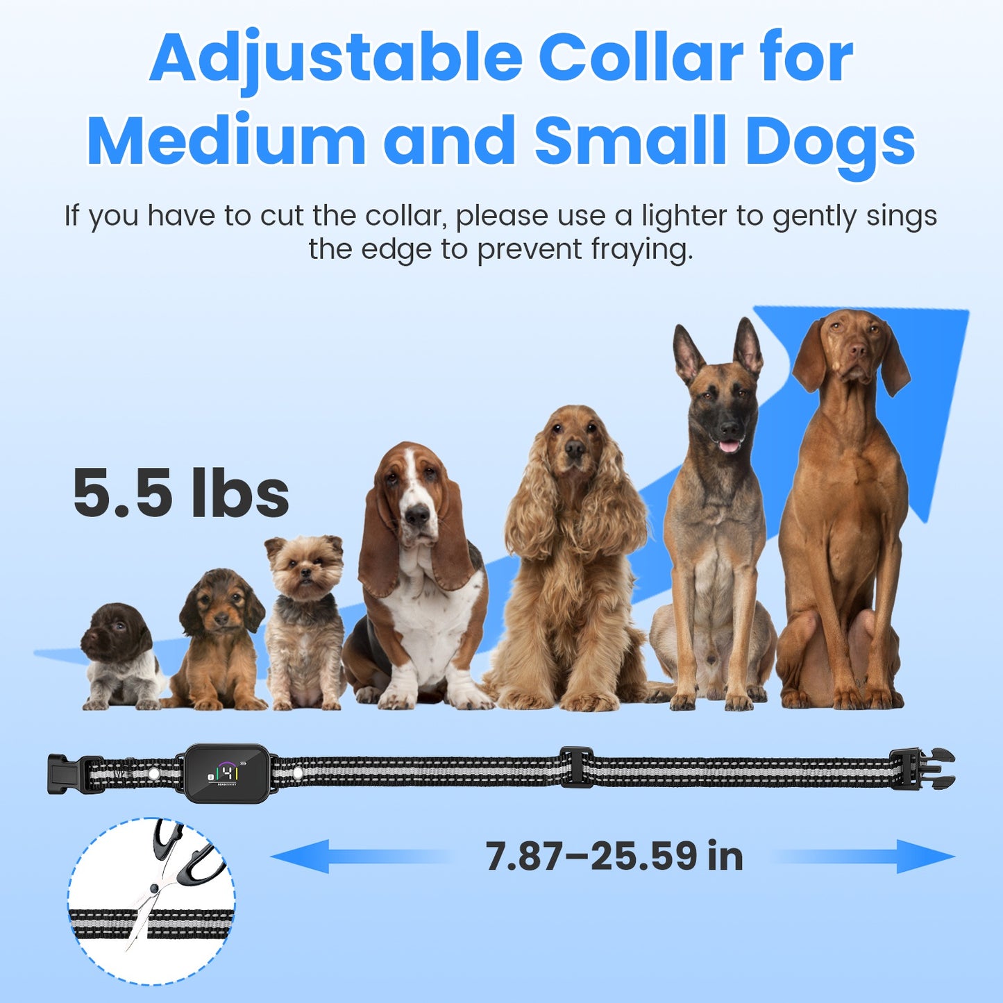 Ergonomic handheld dog trainer remote showing specialized shock and sound buttons