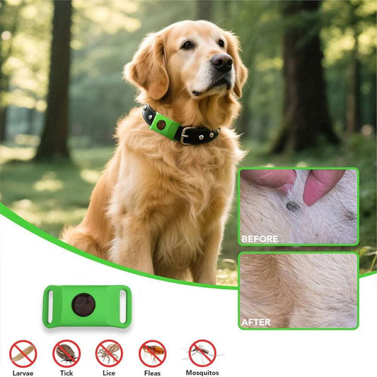 Pawkoi™ Flea & Tick Collar — 12 Month Lasting Protection Pawkoi Pet Pawkoi  Pet Pawkoi™ Flea & Tick Collar — 12 Month Lasting Protection