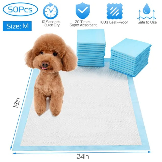 Medium size dog pee pads 50 count box display with a brown poodle puppy