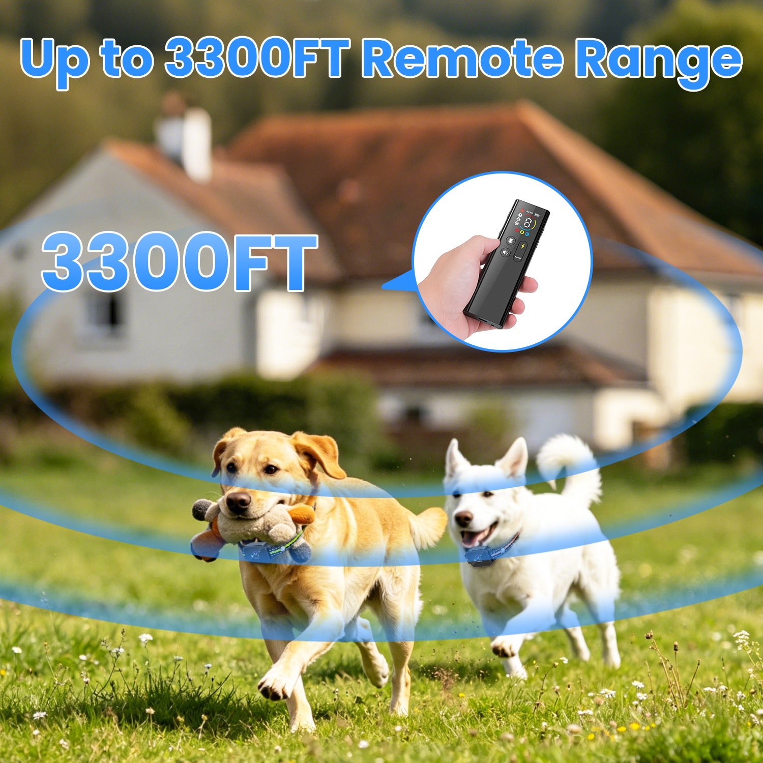No bark collar for small to medium dogs showing multi-mode beep, vibration, and shock icons