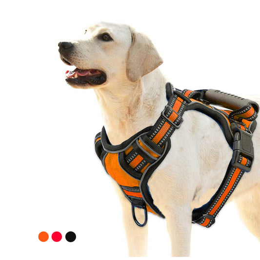 orange no pull dog harness with heavy duty matching rope leash set