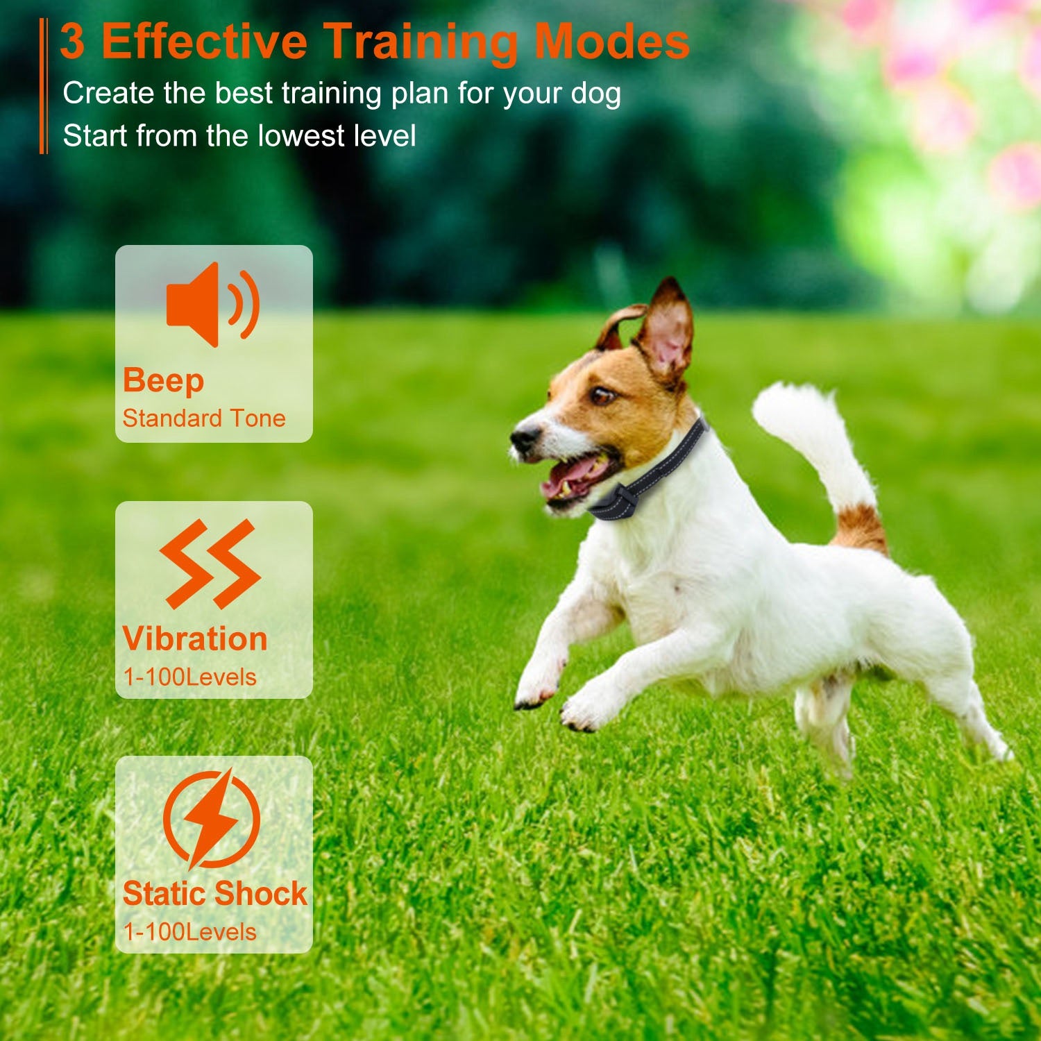 Electric dog training collar receiver with a high-visibility green LED status light