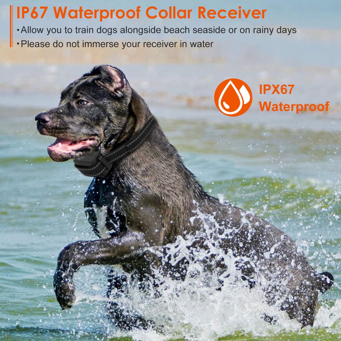 Professional behavior correction e-collar with handheld remote control for puppies