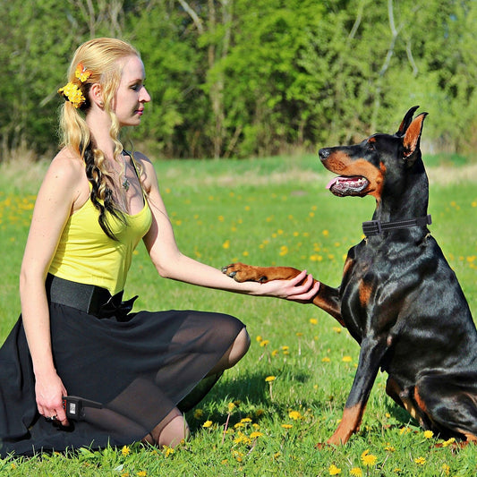 Rechargeable dog bark control collar with adjustable intensity levels for USA