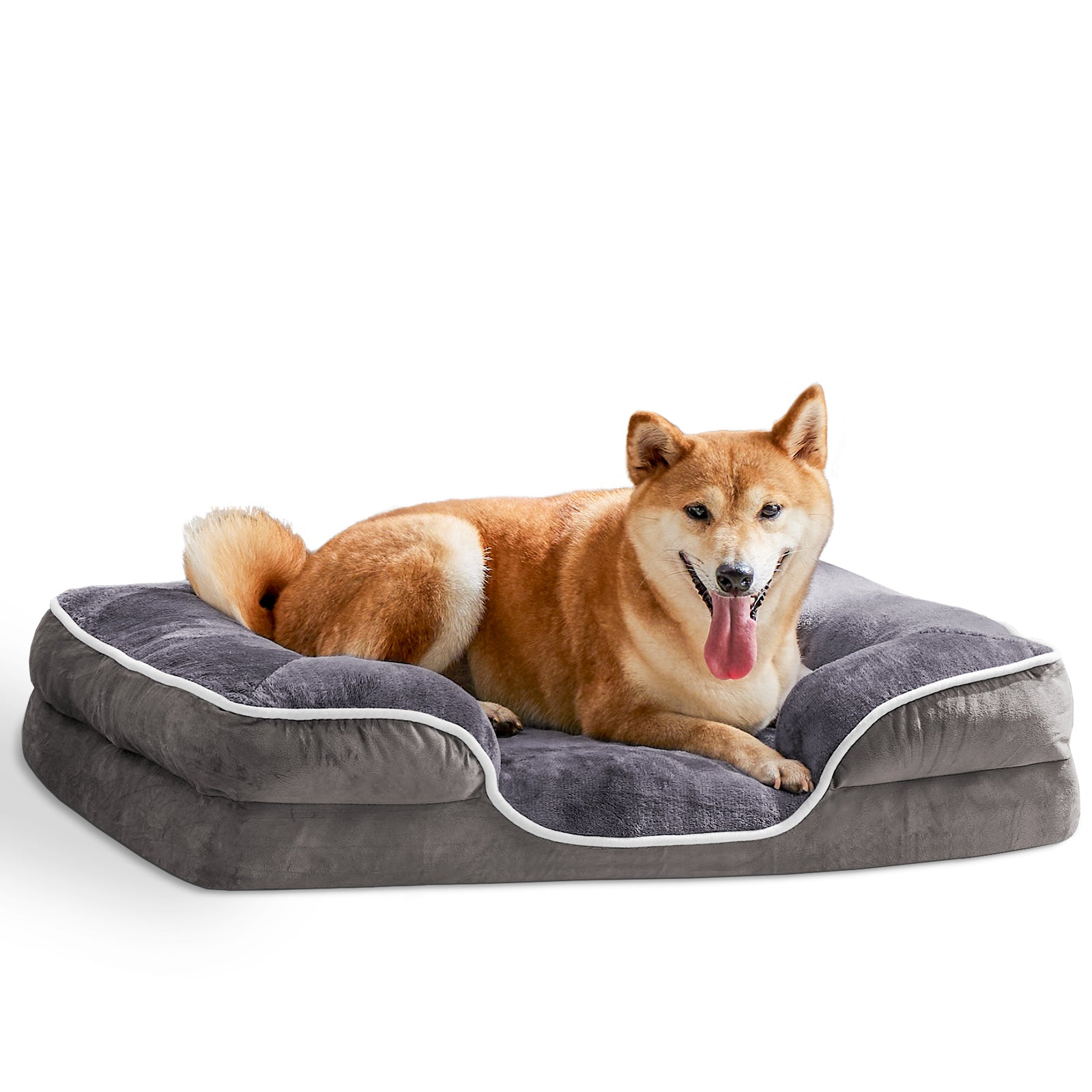 Shiba Inu resting on a premium grey plush orthopedic pet sofa bed
