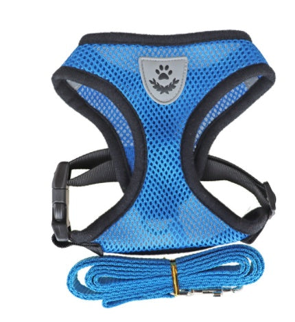 Small breed dog harness set with adjustable straps and secure metal D-rings