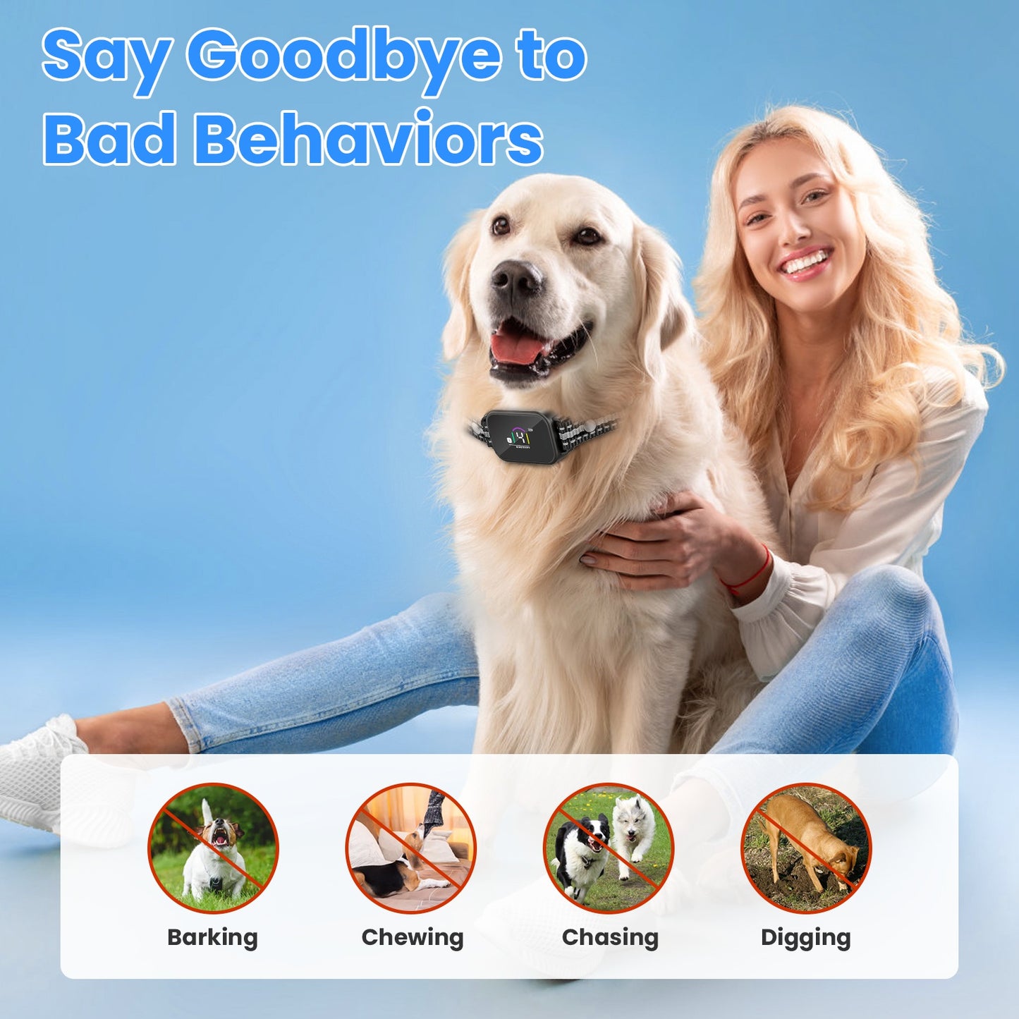 Weatherproof remote dog control receiver with highly visible battery life indicator